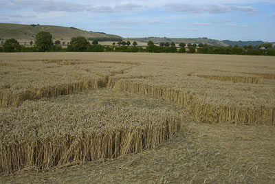 Alton Priors wheat field crop circle